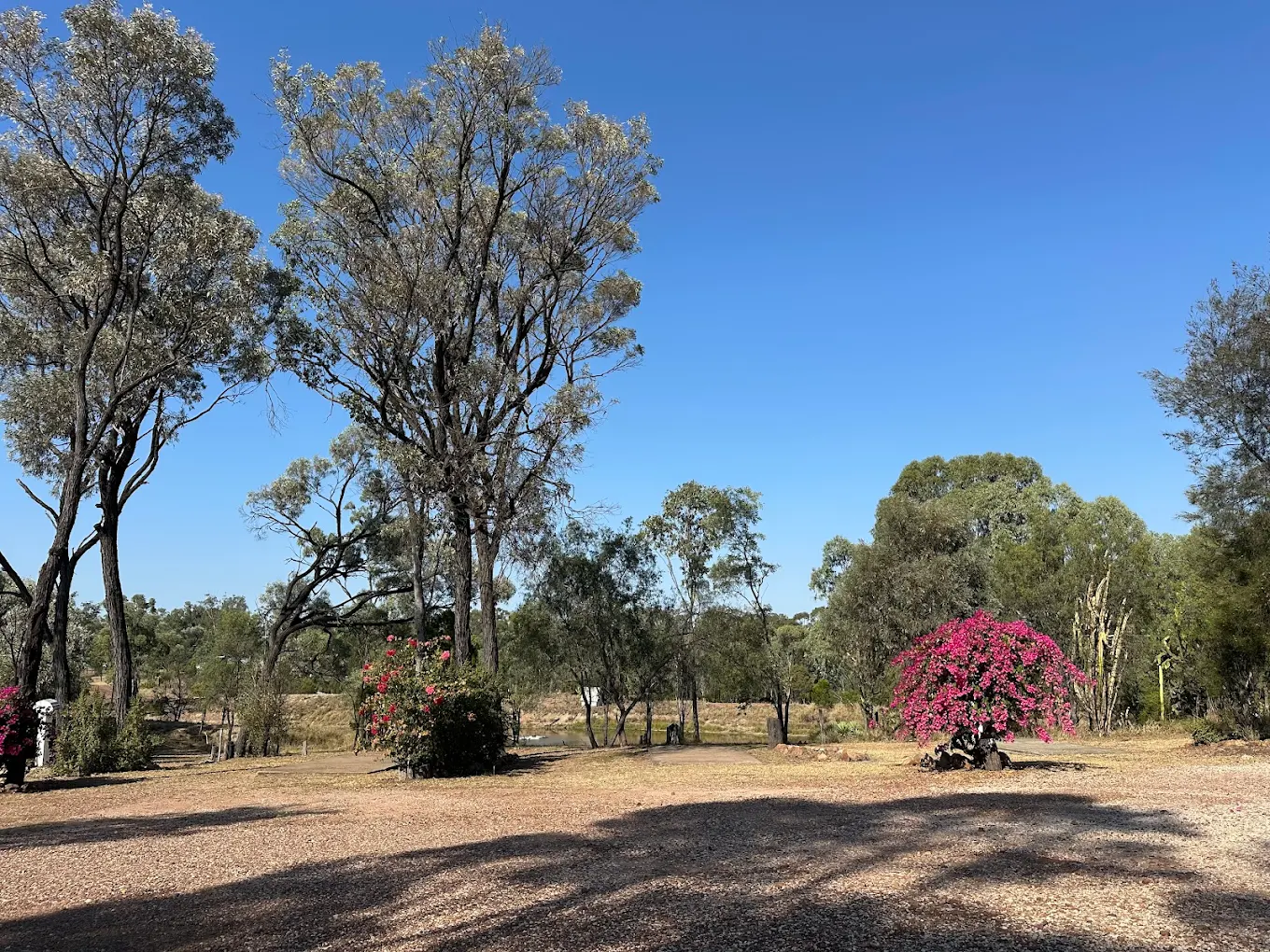 Willows Gemfields Caravan Park